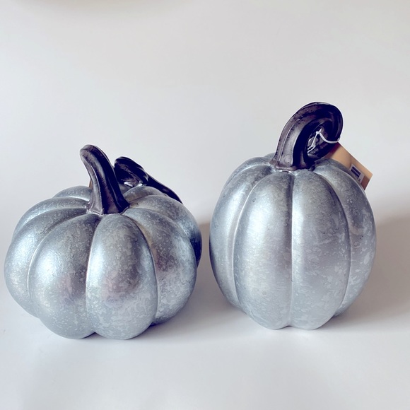 Thanksgiving Robert Stanley Faux Galvanized Resin Pumpkins 4.5” x 5 & 5” x 6” - Picture 2 of 4